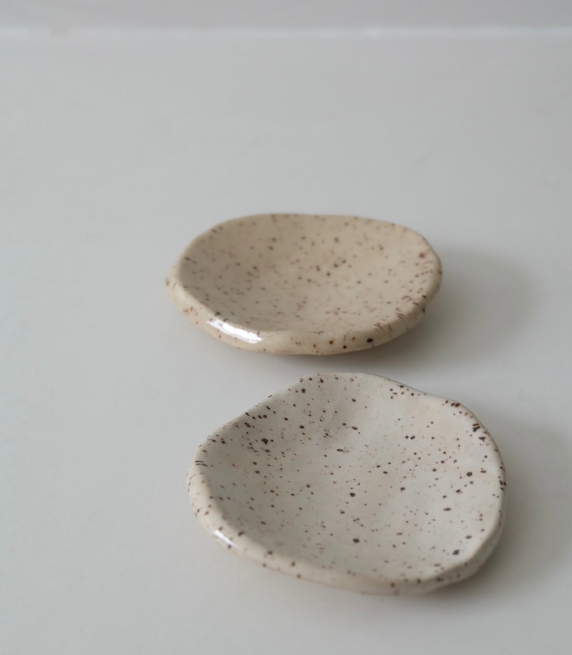 sand dollar dishes (multiple variations)