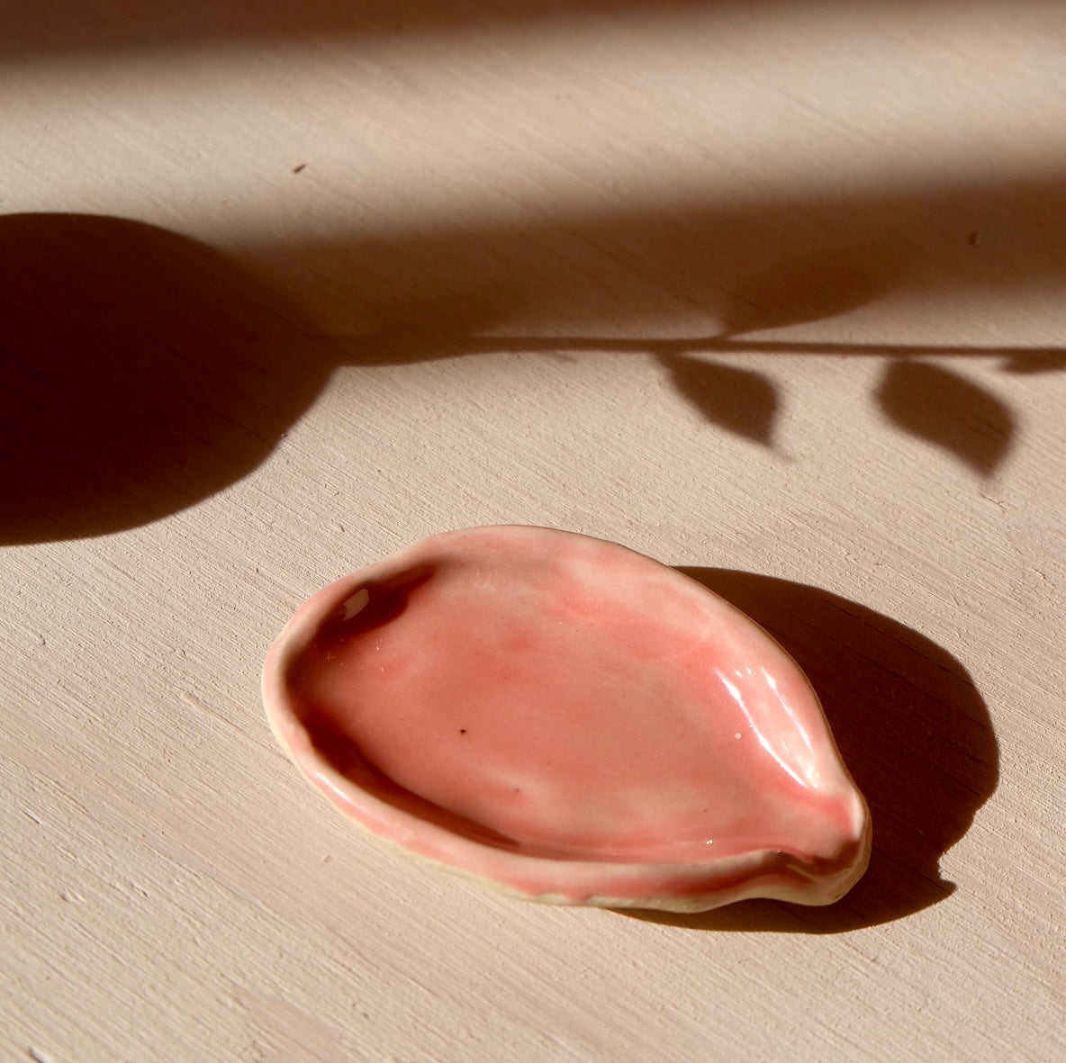 assiettes d'huîtres - plusieurs variantes