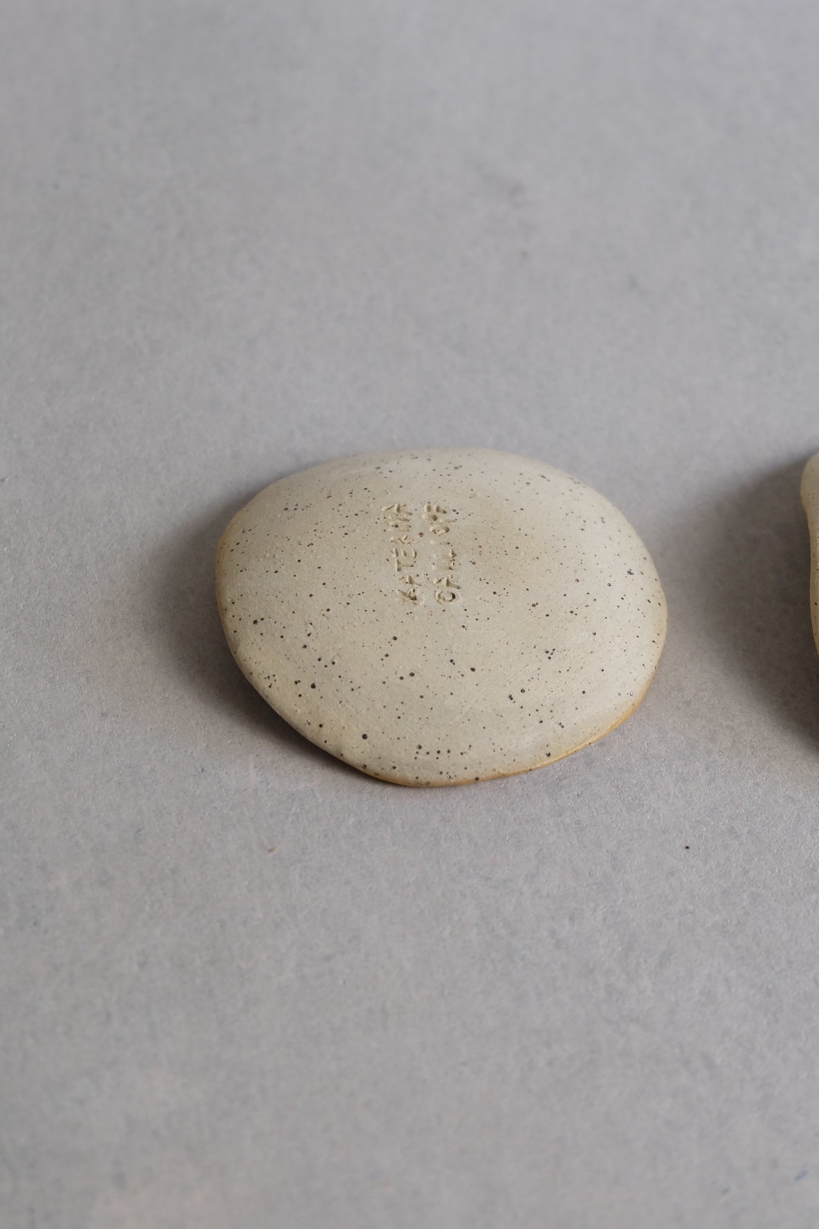 dollars de sable - plusieurs variantes